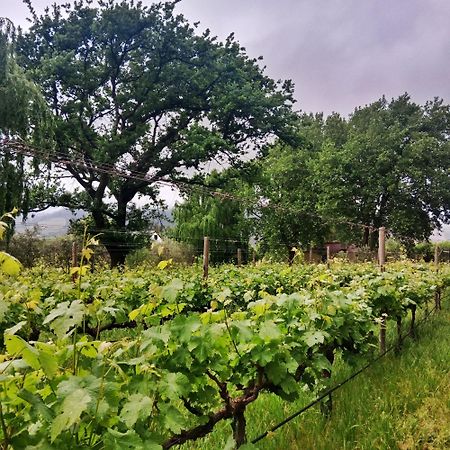 Cabernet Cottage Be Still And Know Franschhoek Esterno foto