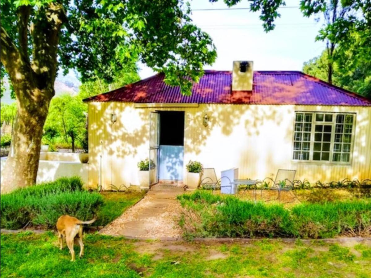 Cabernet Cottage Be Still And Know Franschhoek Esterno foto