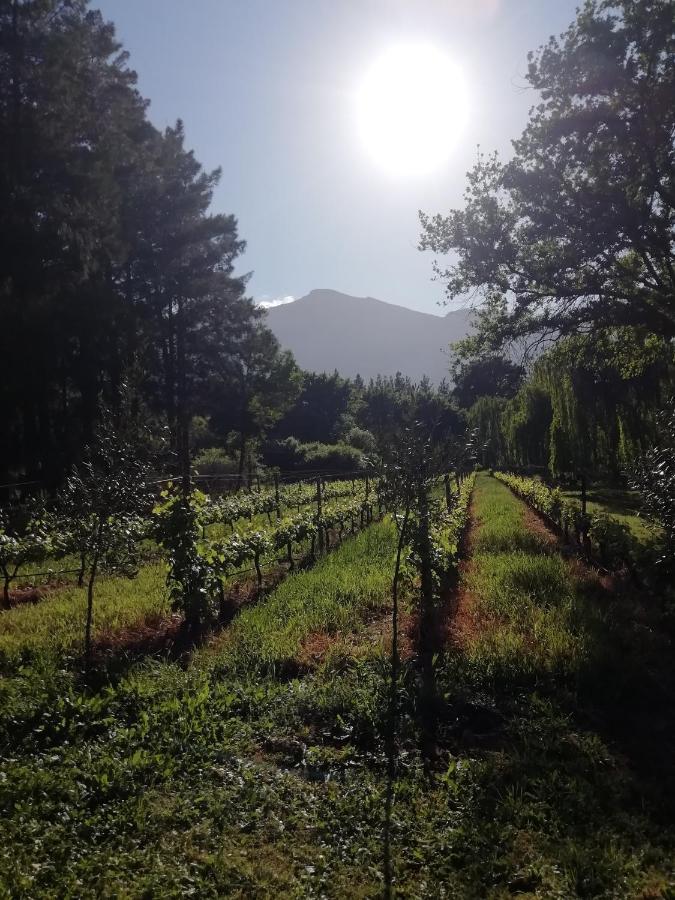 Cabernet Cottage Be Still And Know Franschhoek Esterno foto