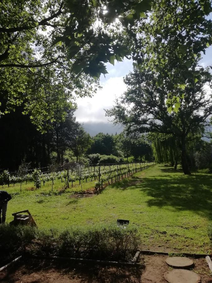 Cabernet Cottage Be Still And Know Franschhoek Esterno foto