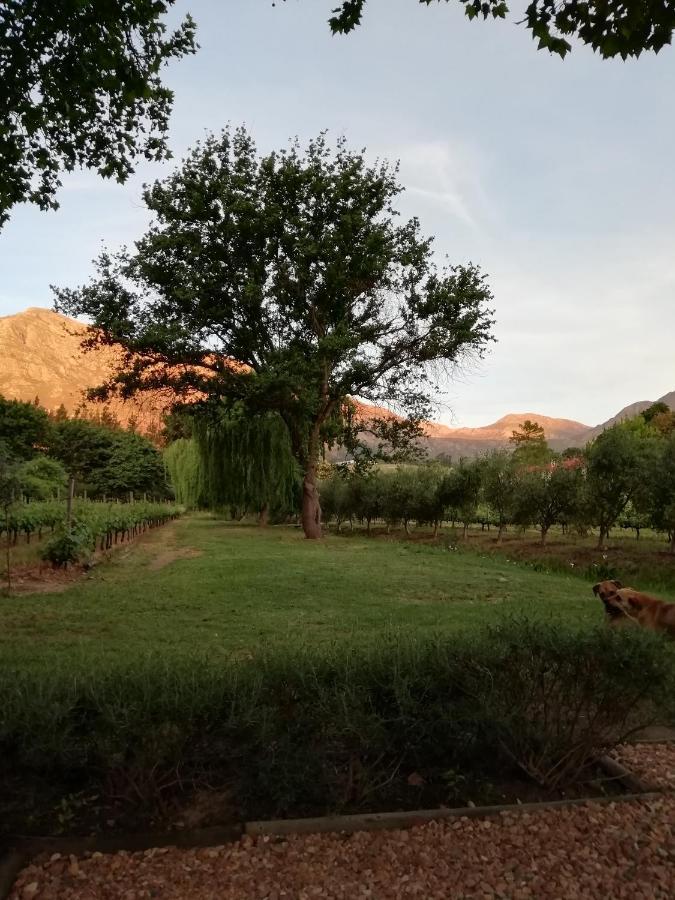 Cabernet Cottage Be Still And Know Franschhoek Esterno foto