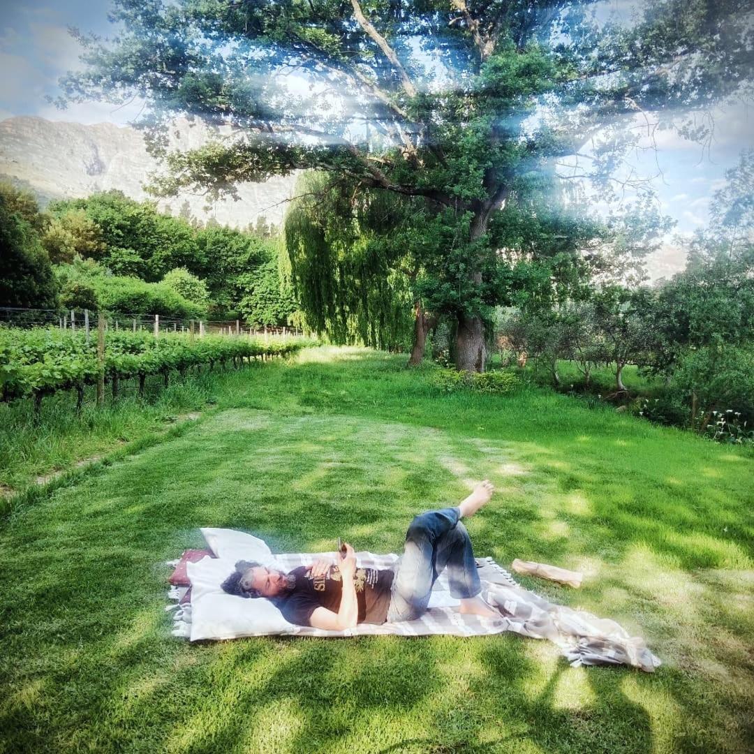 Cabernet Cottage Be Still And Know Franschhoek Esterno foto